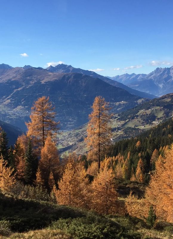 Herbstliche Lärchen in leuchtendem Orange prägen das Bild. Der Blick reicht weit über das Inntal und umliegende Gipfel. Die klare Sicht und warme Farben vermitteln alpinen Zauber im Spätherbst.