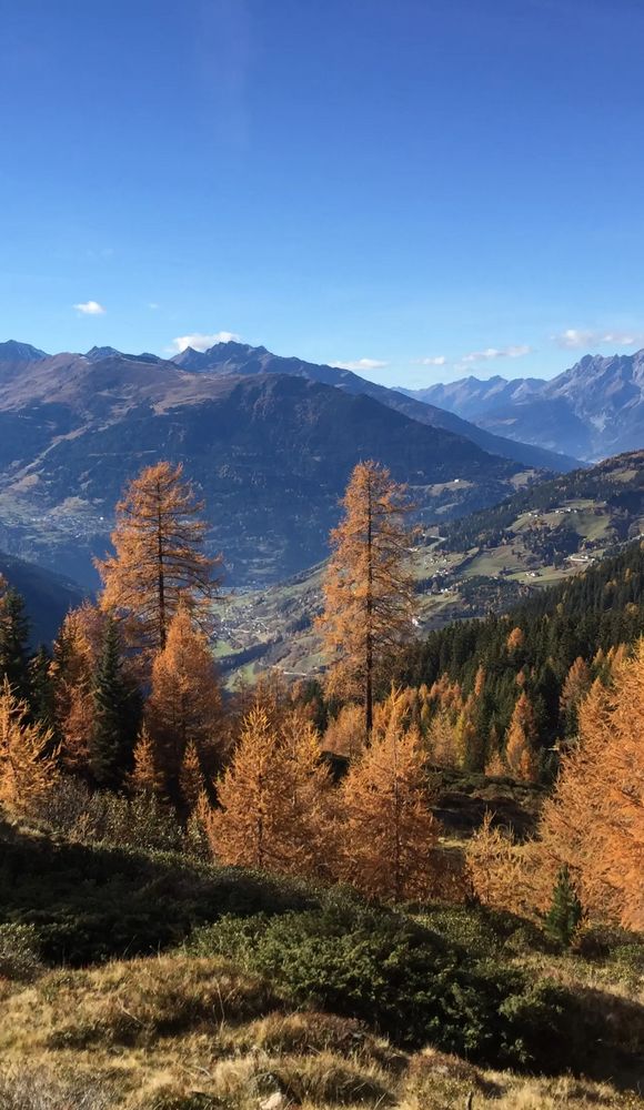 Herbstliche Lärchen in leuchtendem Orange prägen das Bild. Der Blick reicht weit über das Inntal und umliegende Gipfel. Die klare Sicht und warme Farben vermitteln alpinen Zauber im Spätherbst.